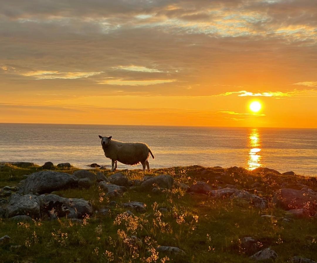 Perfekt Base For Det Meste! Leknes Exteriör bild